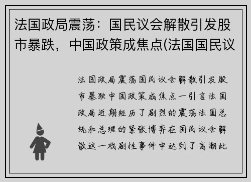 法国政局震荡：国民议会解散引发股市暴跌，中国政策成焦点(法国国民议会官网)