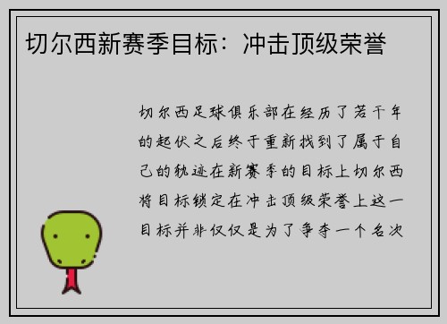 切尔西新赛季目标：冲击顶级荣誉