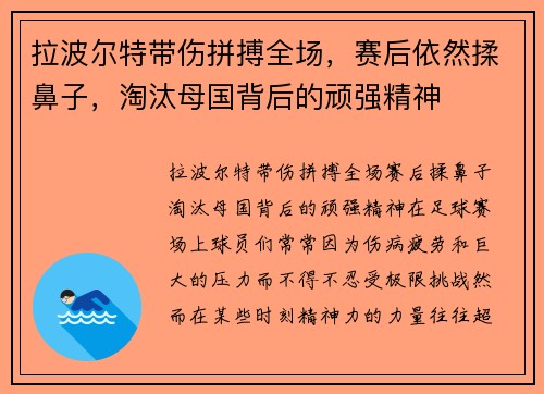 拉波尔特带伤拼搏全场，赛后依然揉鼻子，淘汰母国背后的顽强精神